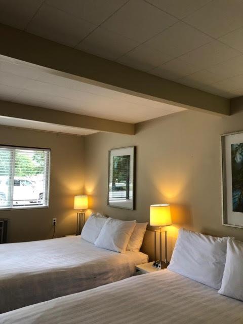 Pines Motel Sicamous Luaran gambar